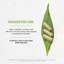 secrets-of-the-tribe-lobelia-120-capsule-2.jpg