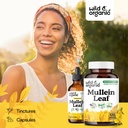 wild-organic-mullein-capsules-4-1-mullei-6.jpg