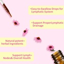 liposomal-lymphatic-drainage-drops-lymph-4.jpg