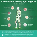 liposomal-lymphatic-drainage-supplements-4.jpg