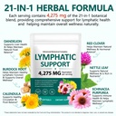 fanshi-lymphatic-drainage-supplements-24-4.jpg