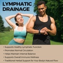 lymphatic-drainage-drops-features-cleave-4.jpg