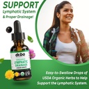lymphatic-drainage-supplements-drops-org-3.jpg