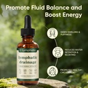 lymphatic-drainage-drops-lymphatic-syste-2.jpg