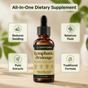 lymphoria-lymphatic-drainage-drops-lymph-2.jpg