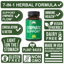 lymphatic-drainage-supplement-7-in-1-lym-3.jpg