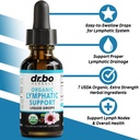 lymphatic-drainage-supplements-chlorophy-2.jpg