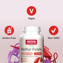 jarrow-formulas-extra-strength-methyl-fo-5.jpg