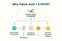 folinic-acid-drops-kids-800-mcg-l-methyl-2.jpg