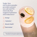 trace-minerals-zerolyte-salty-berry-lemo-2.jpg