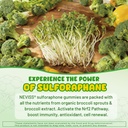 liposomal-sulforaphane-gummies-from-orga-4.jpg