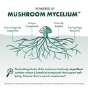 host-defense-chaga-extract-immune-system-4.jpg