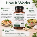 proteolytic-enzymes-trypsin-chymotrypsin-3.jpg