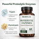 proteolytic-enzymes-trypsin-chymotrypsin-2.jpg