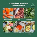 biogenesis-total-wellness-green-stack-sp-3.jpg