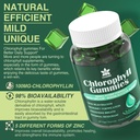 lilicare-chlorophyll-gummies-super-green-3.jpg