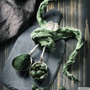 chlorella-spirulina-powder-organic-spiru-4.jpg