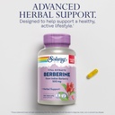 solaray-berberine-500mg-berberine-supple-3.jpg
