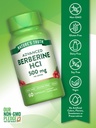 nature-s-truth-berberine-hcl-500mg-60-ca-3.jpg