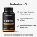 natgrown-berberine-supplement-berberine--2.jpg
