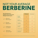 berberine-hci-600mg-supplement-supports--5.jpg