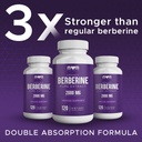the-monk-organic-berberine-extract-2000m-2.jpg