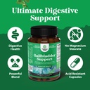 bundle-of-liver-support-nac-supplement-w-5.jpg