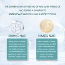 nac-supplement-with-nad-nac-600mg-daily--3.jpg