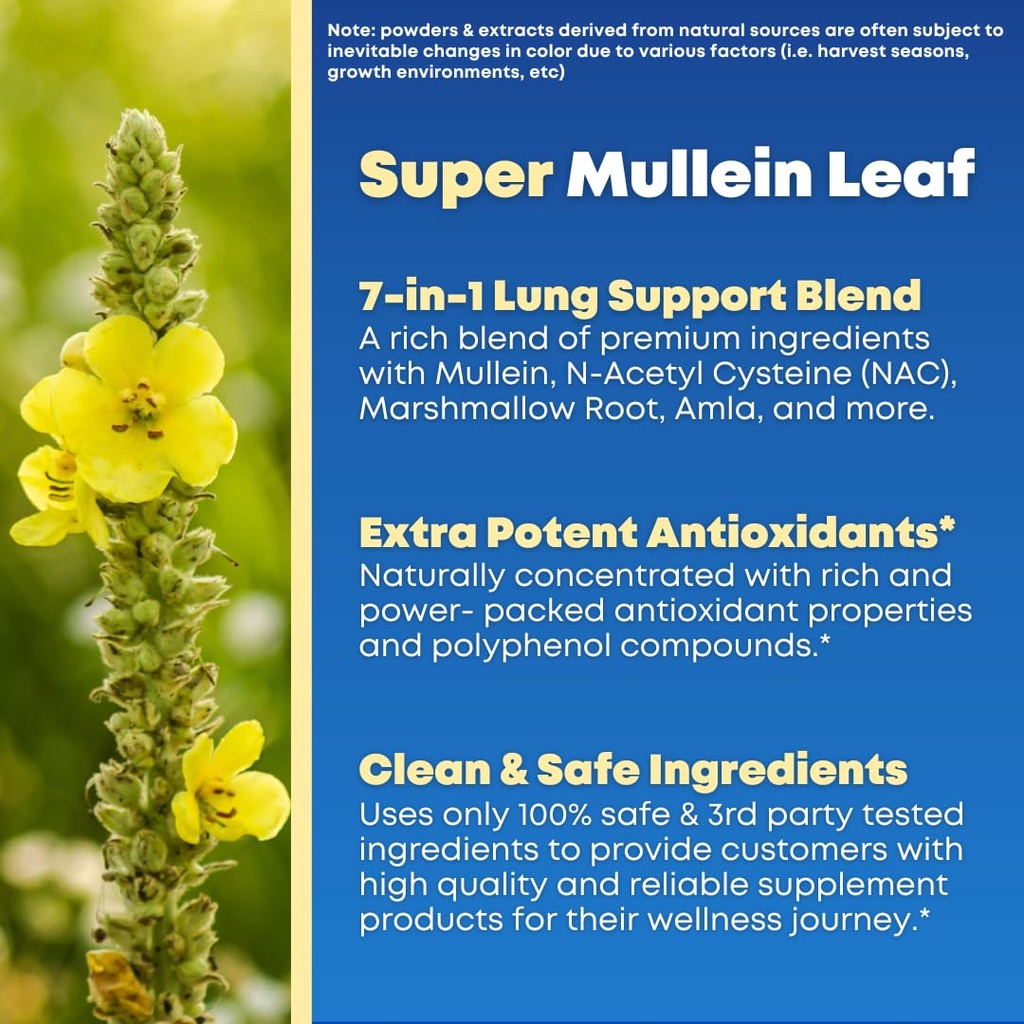 mullein-leaf-extract-nac-lung-detox-clea-4.jpg