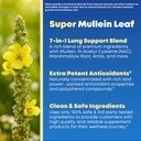 mullein-leaf-extract-nac-lung-detox-clea-4.jpg