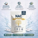 nac-supplement-600mg-with-nad-coconut-oi-2.jpg