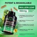 mullein-lung-detox-mullein-leaf-10-1-ext-4.jpg