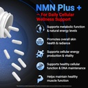 nmn-supplement-5-in-1-complex-with-nac-a-5.jpg