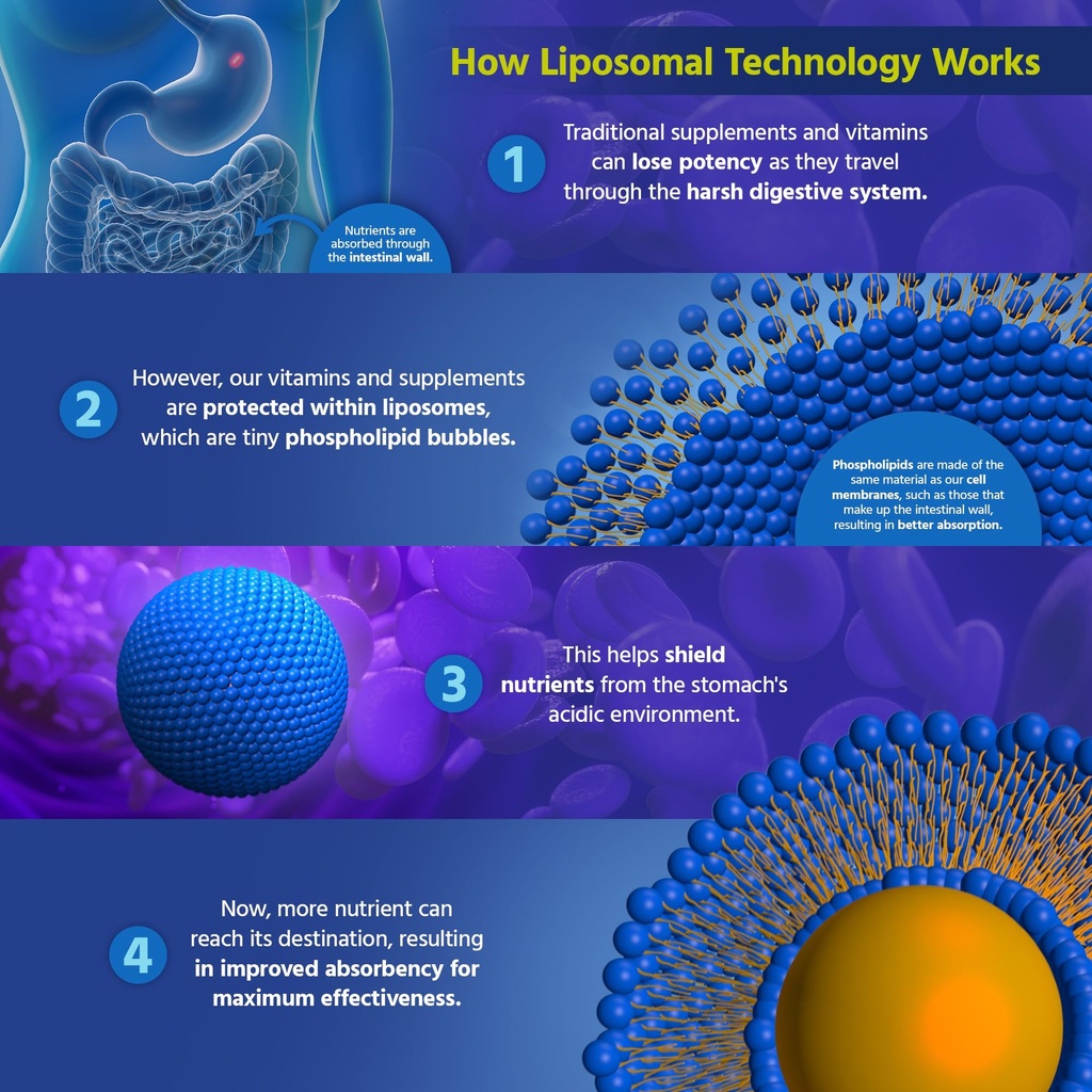 core-med-science-liposomal-quercetin-sup-6.jpg