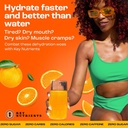 key-nutrients-electrolytes-powder-packet-2.jpg