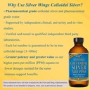 natural-path-silver-wings-colloidal-silv-6.jpg