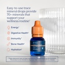 trace-minerals-concentrace-trace-mineral-2.jpg