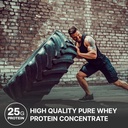 nutrabio-classic-whey-protein-powder-25g-4.jpg
