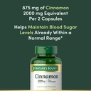 nature-s-bounty-cinnamon-plus-chromium-c-3.jpg