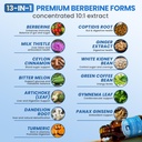 berberine-supplement-with-ceylon-cinnamo-5.jpg