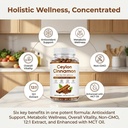 ceylon-cinnamon1200mg-extract-supplement-2.jpg