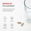 uric-acid-cleanse-gout-support-tart-cher-4.jpg