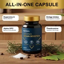 the-ultimate-brain-booster-nootropic-sup-2.jpg