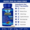 brain-supplements-for-memory-focus-nootr-2.jpg