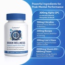 brain-supplements-for-memory-and-focus-n-4.jpg