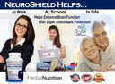 neuroshield-brain-supplement-a-nootropic-4.jpg