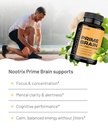 nootrix-prime-brain-nootropic-supplement-3.jpg