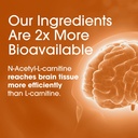 nutrition-essentials-nootropic-brain-sup-6.jpg