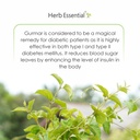 herb-essential-100-organic-gudmar-gymnem-3.jpg