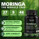 moringa-capsules-pure-moringa-leaf-powde-2.jpg